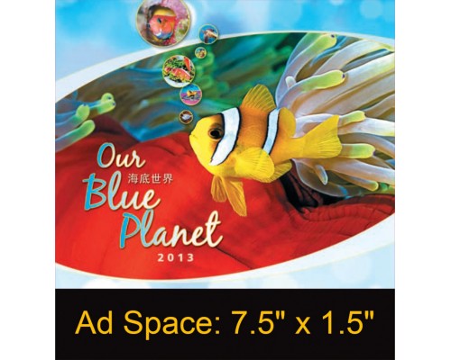 Desk Calendar DC34